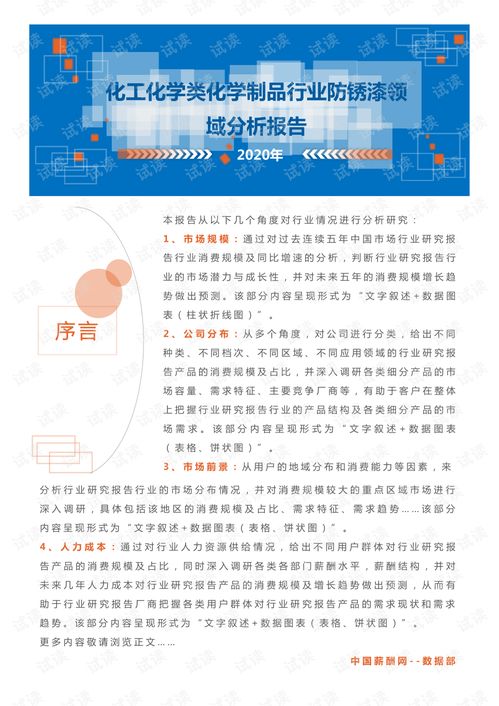 2020年化工化学化学制品行业防锈漆领域行业分析与市场调查报告